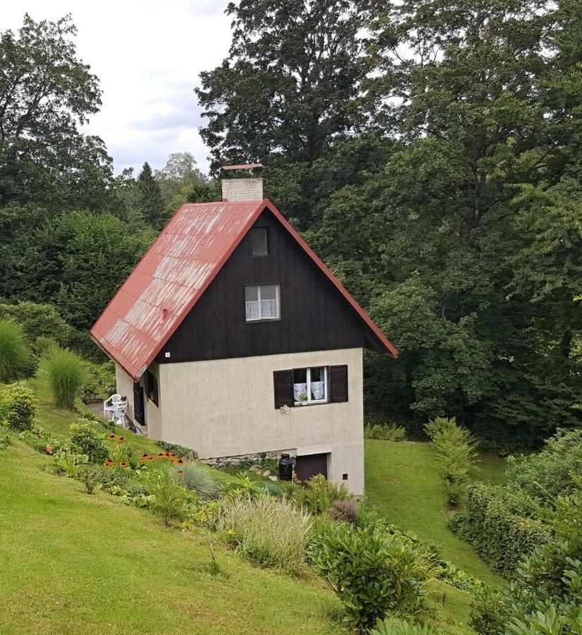 Chata U Koupaliste Chribská Exterior foto