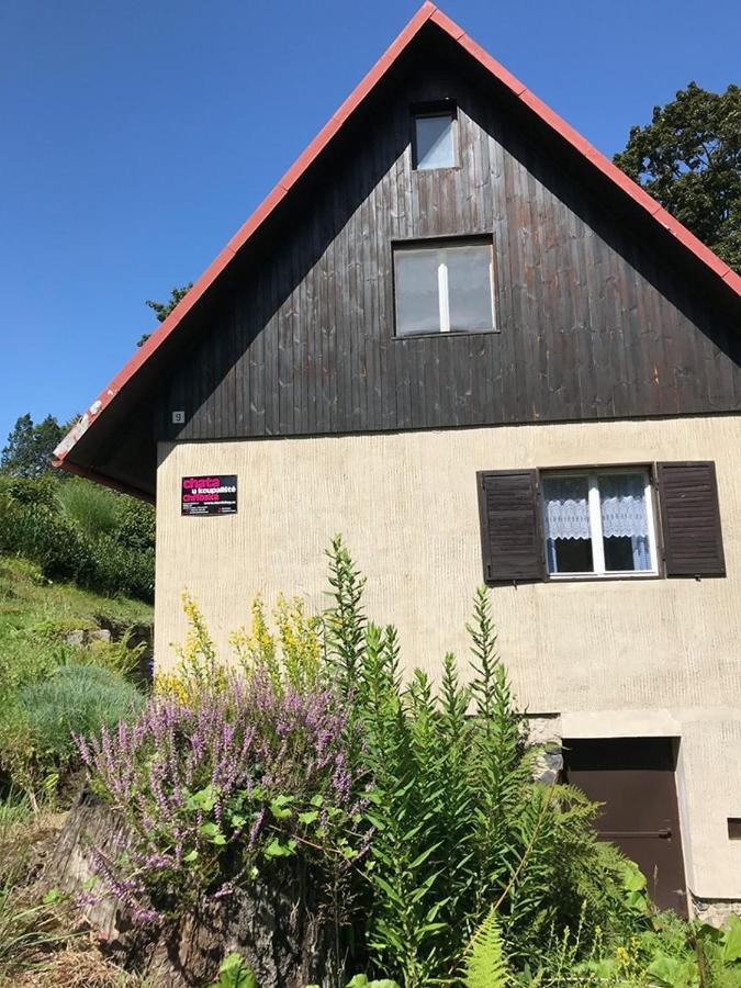 Chata U Koupaliste Chribská Exterior foto